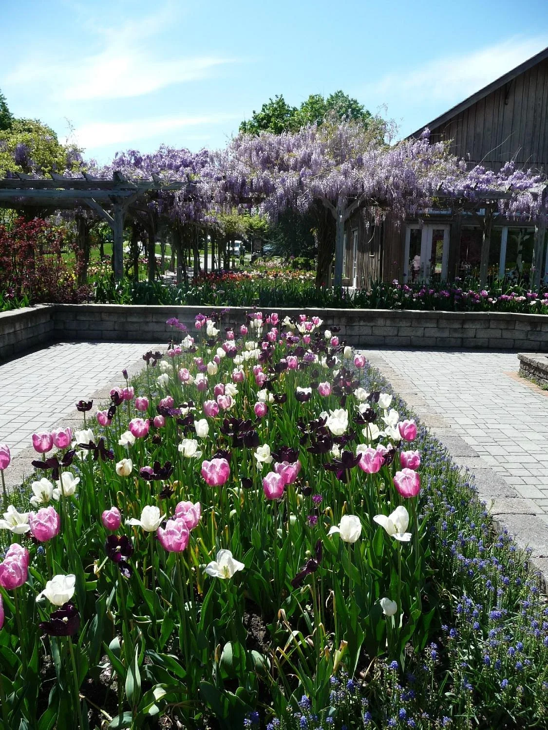 Orange County Arboretum