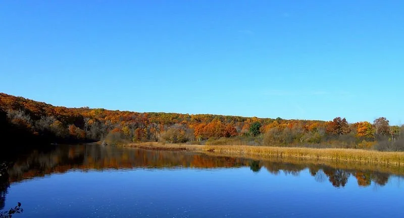 Barton Nature Area