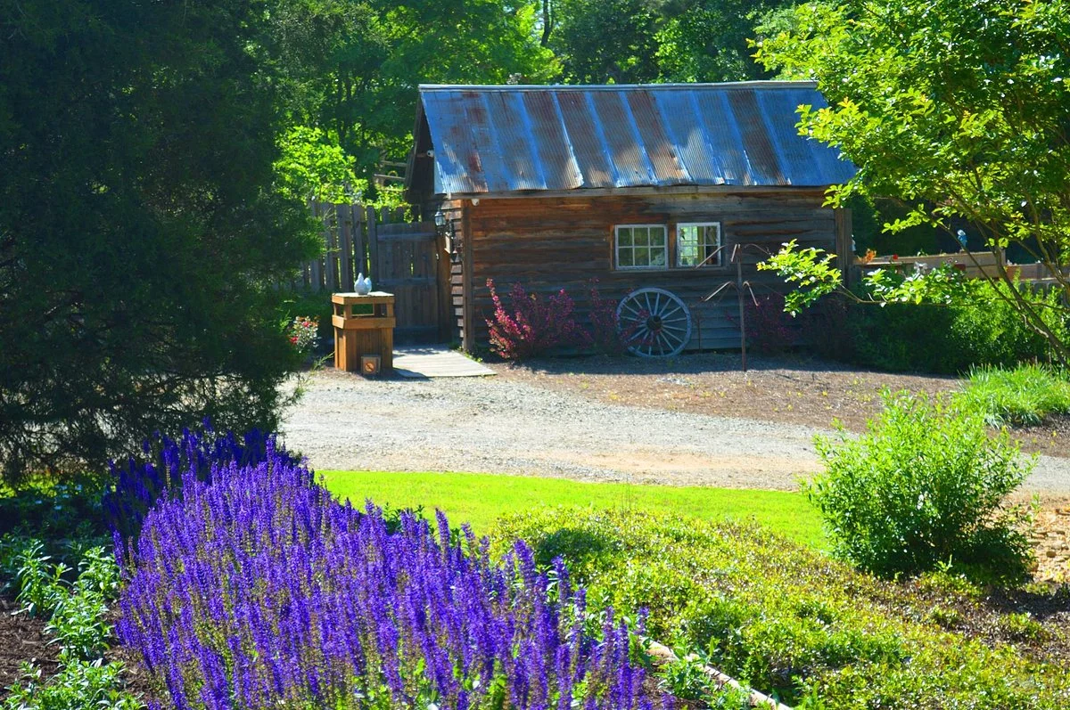 Whimsical Botanical Gardens