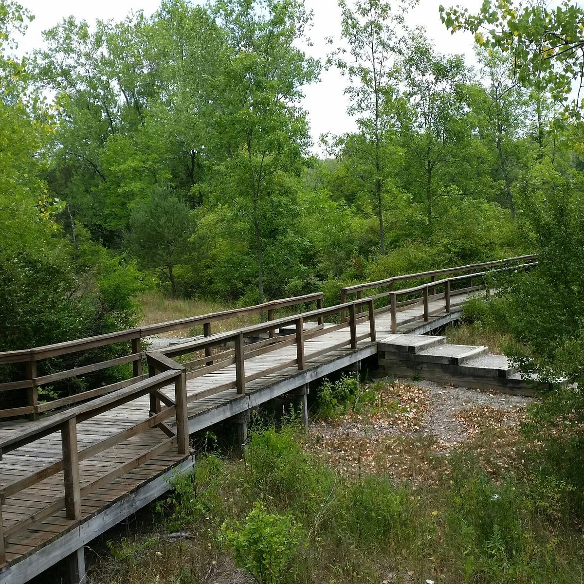 Tillman Road Wildlife Management Area