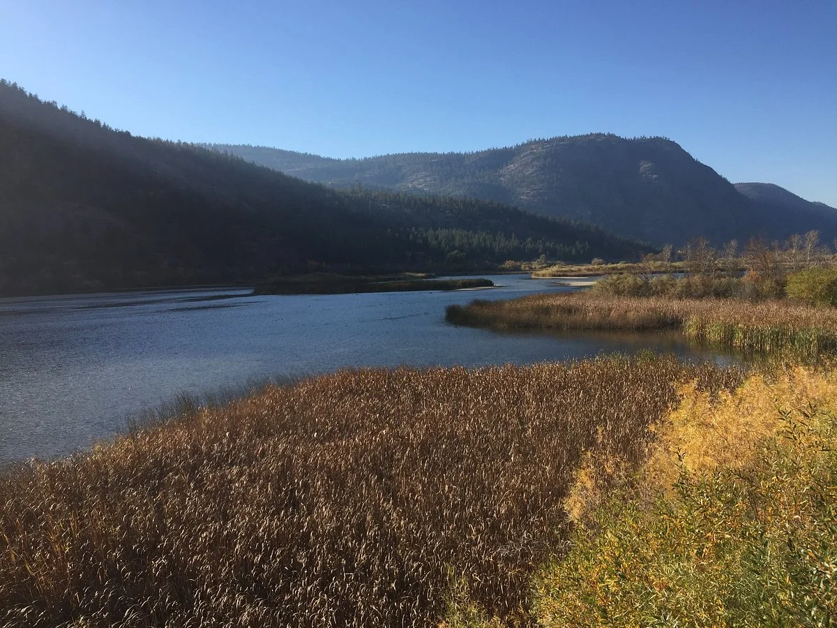 Vaseux Lake Provincial Park