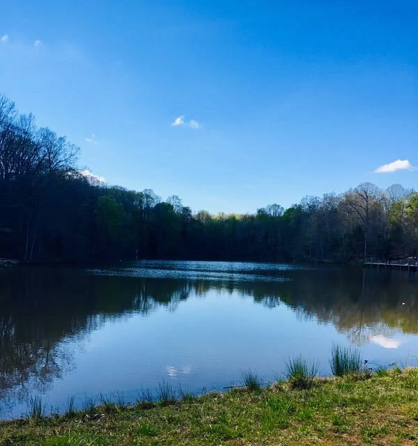 Reedy Creek Nature Center and Preserve