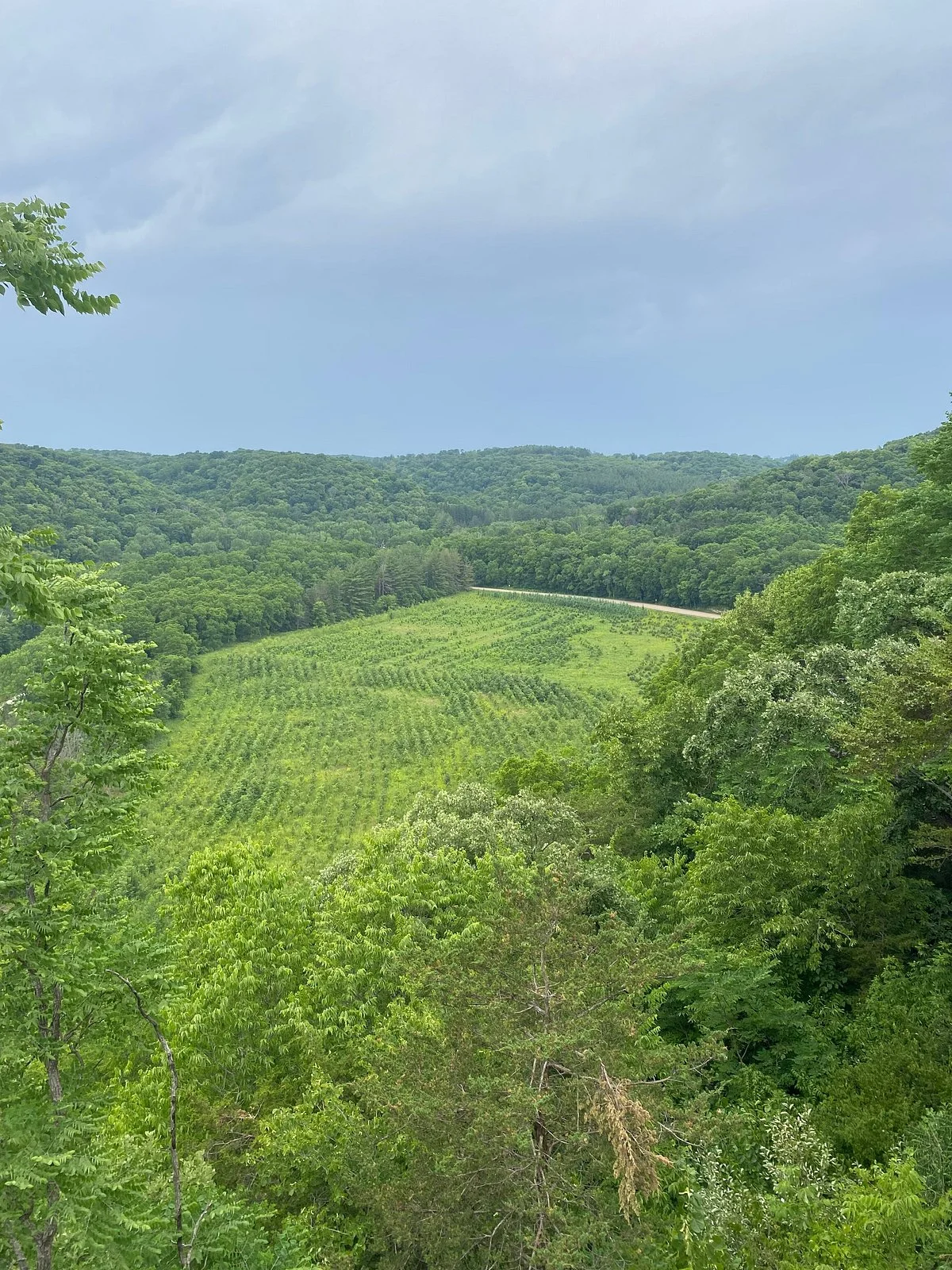 Yellow River State Forest