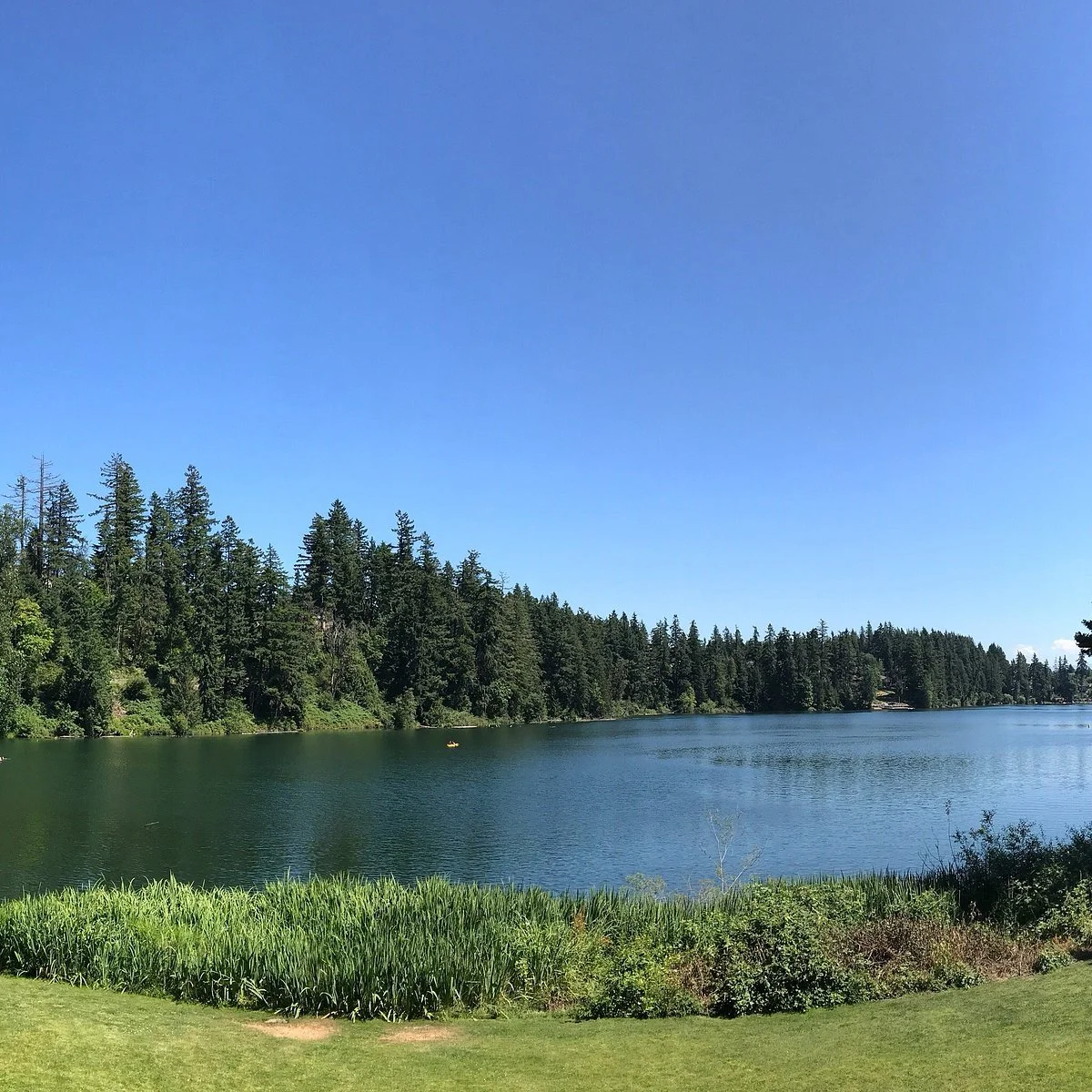 Lake Wilderness Arboretum