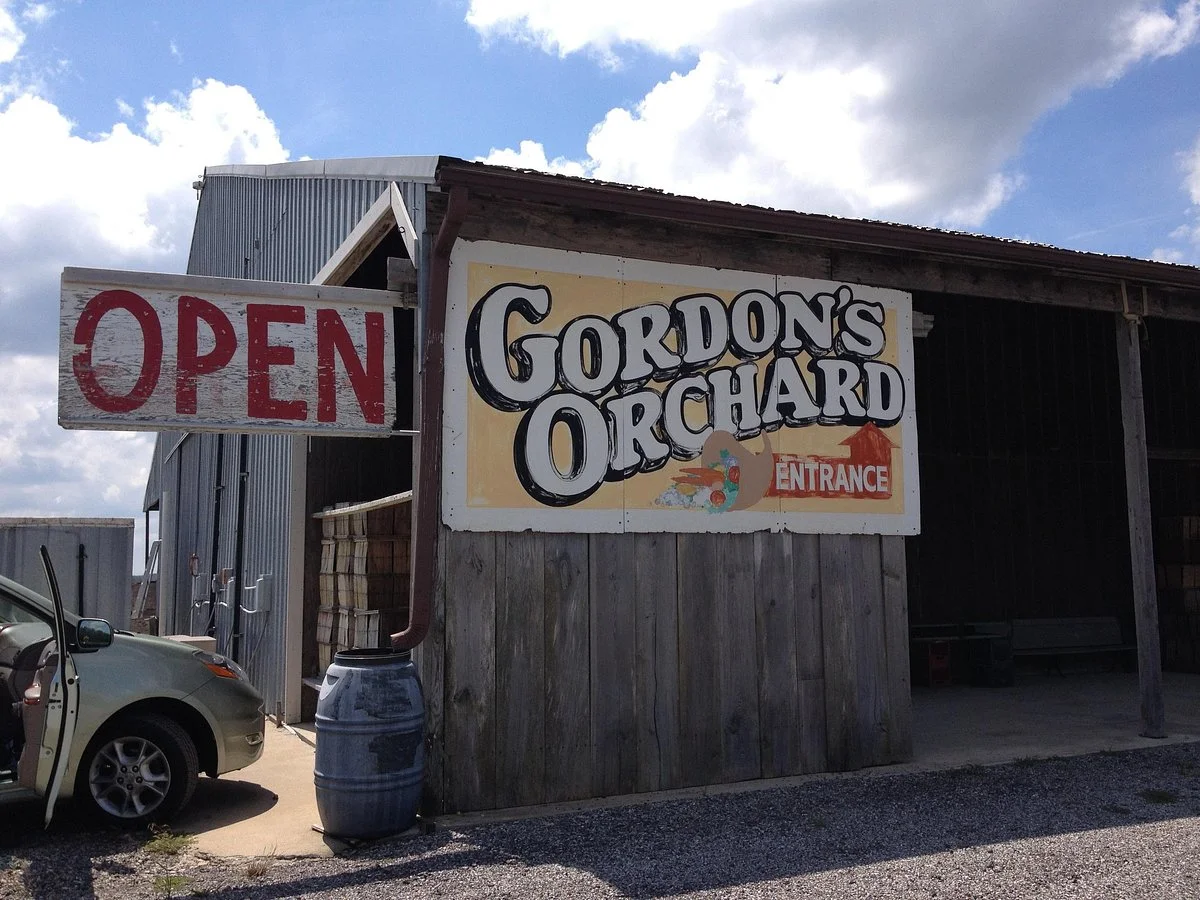 Gordon's Orchard