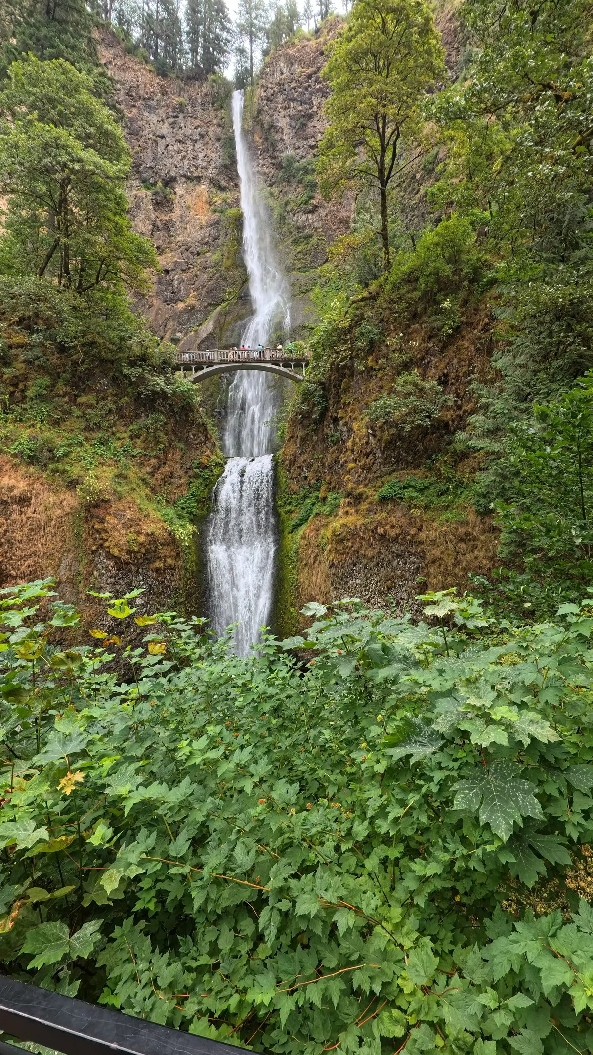 Wahkeena Falls
