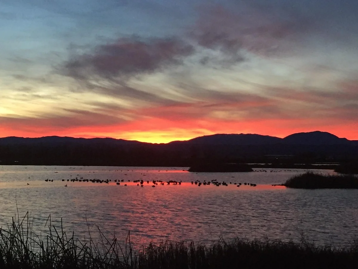 Sacramento National Wildlife Refuge