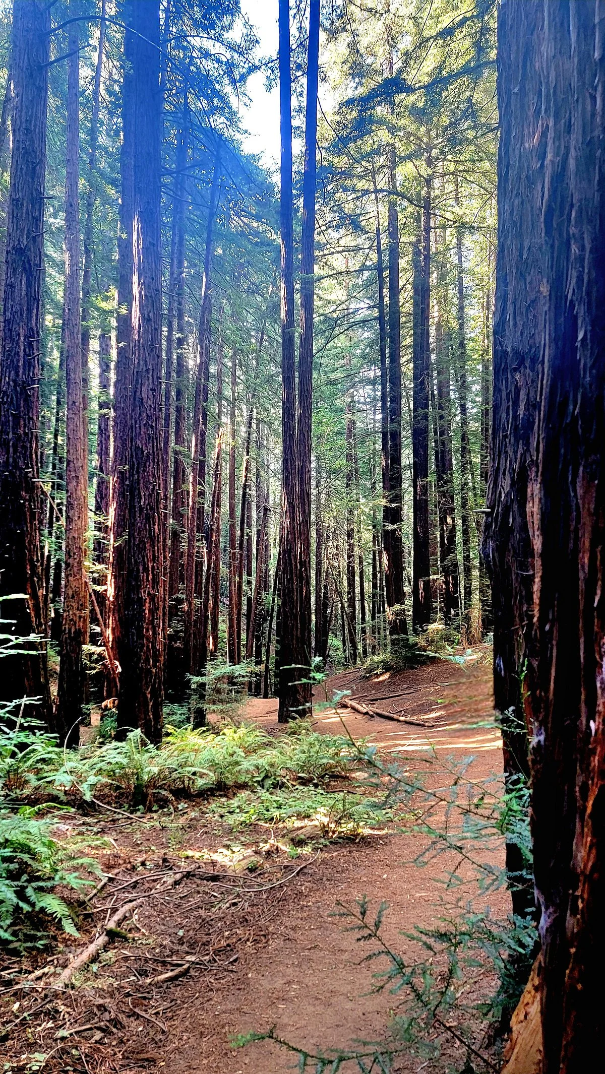 Roberts Regional Recreation Area