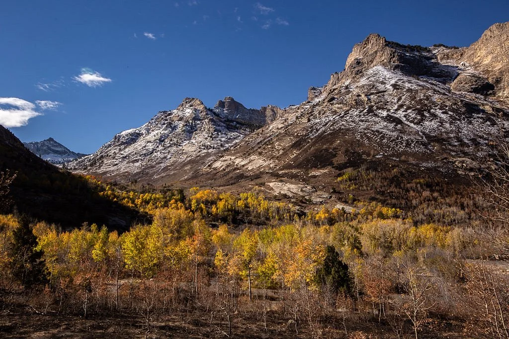 Lamoille Canyon