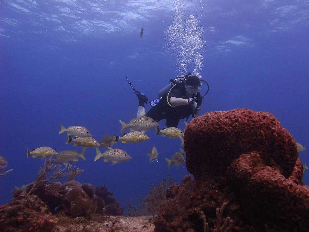 Yucab Reef