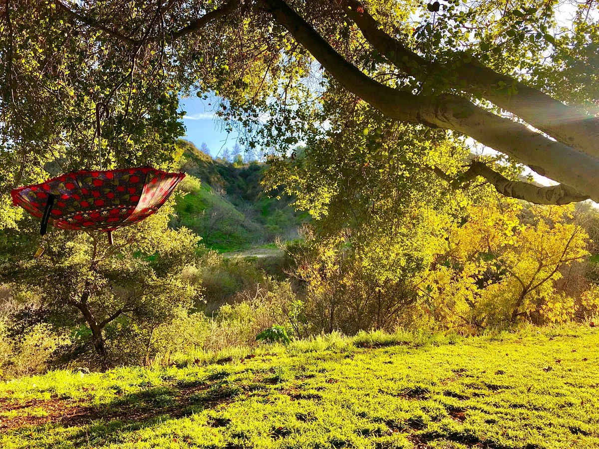 Chino Hills State Park