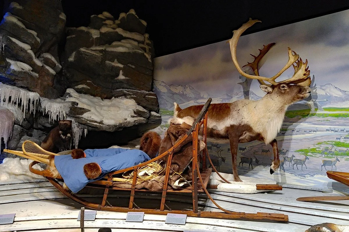 Northwest Arctic Heritage Center