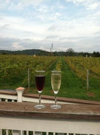 Hopewell Valley Vineyards