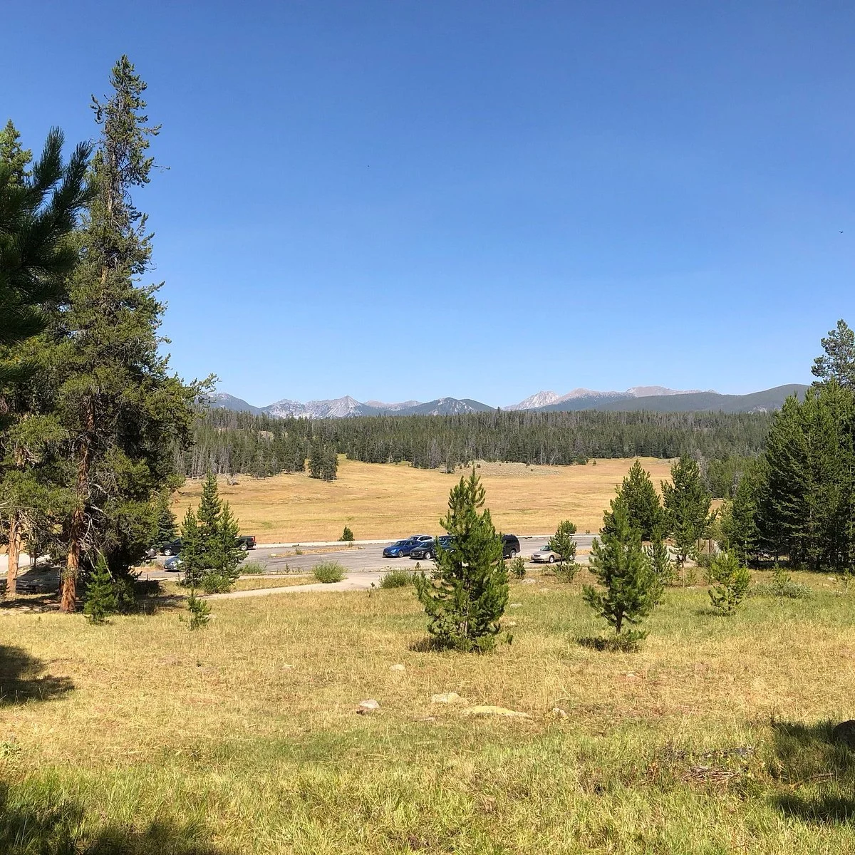 Pioneer Mountain Scenic Byway