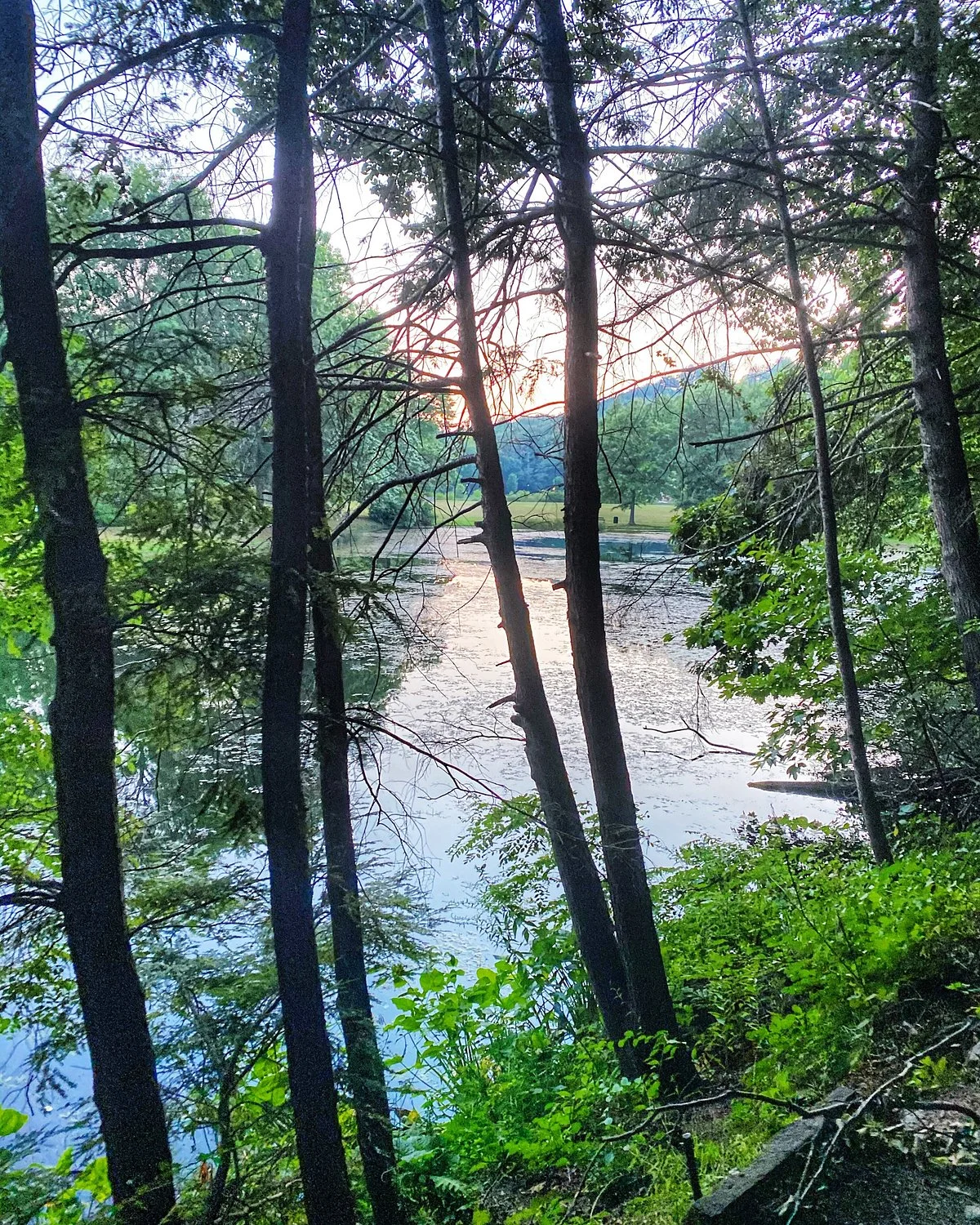 Rockwell Park