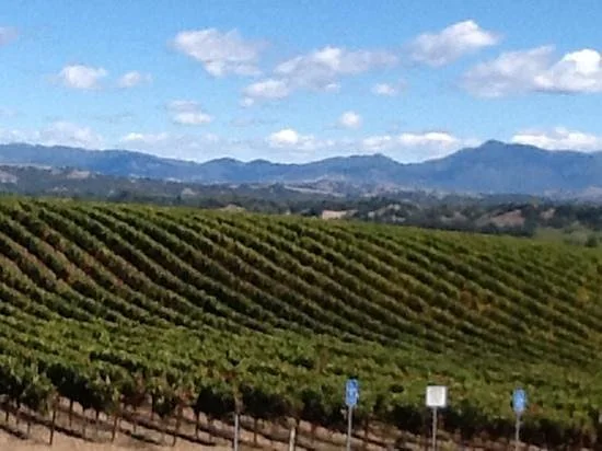 Williams Selyem Winery
