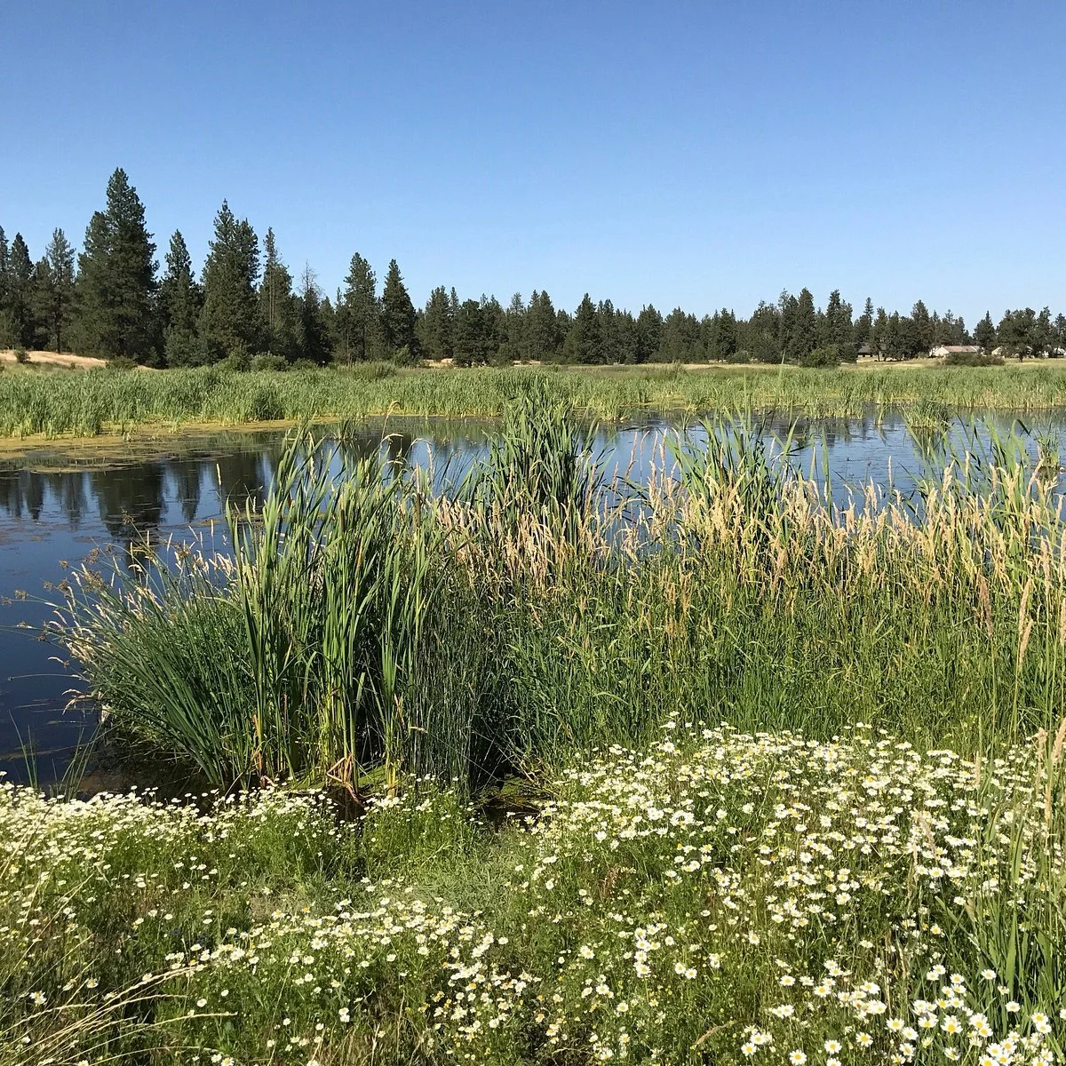Turnbull National Wildlife Refuge
