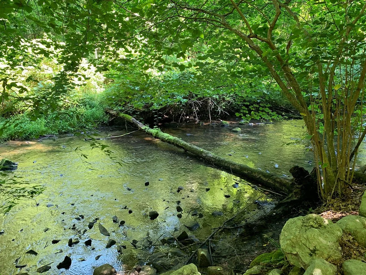 Mianus River Gorge Preserve