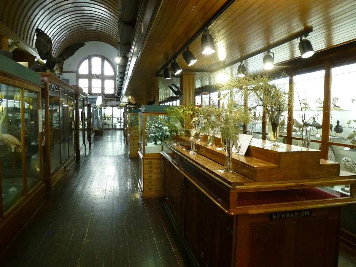 Fairbanks Museum and Planetarium