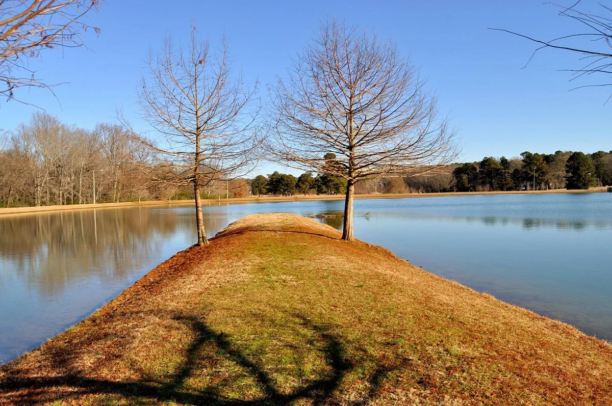 Lamar Park