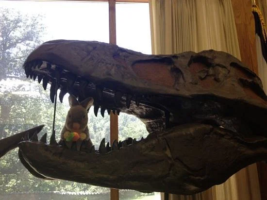 Museum of Geology and Natural History
