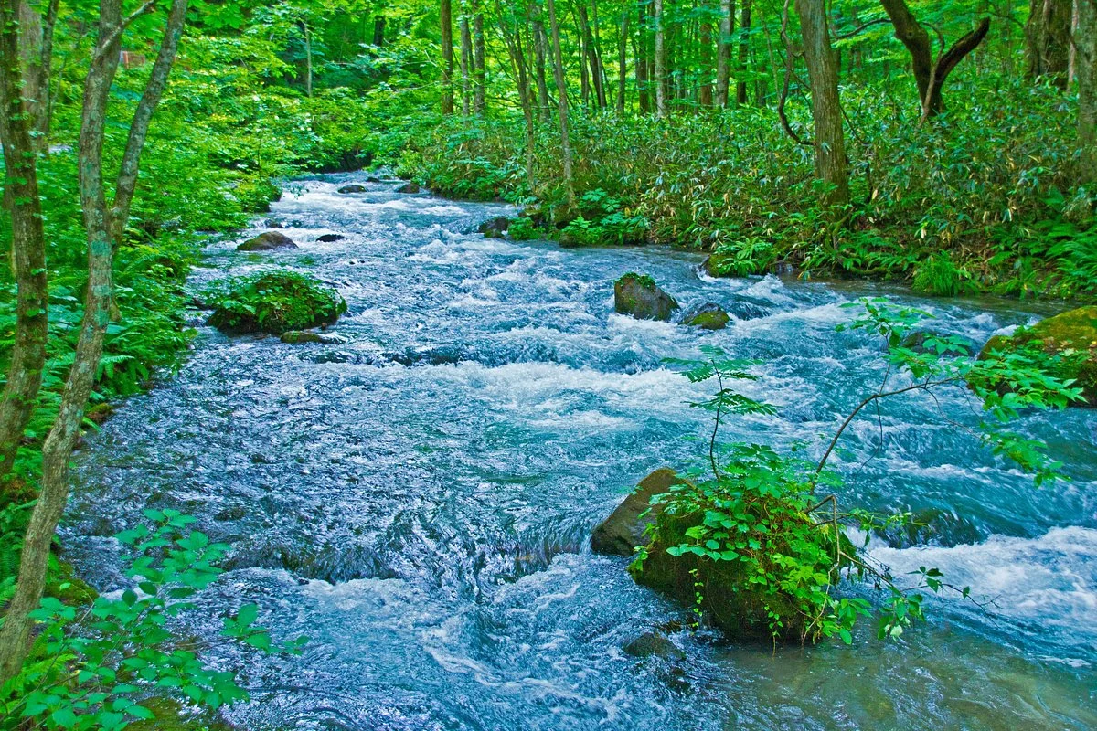 Oirase Gorge