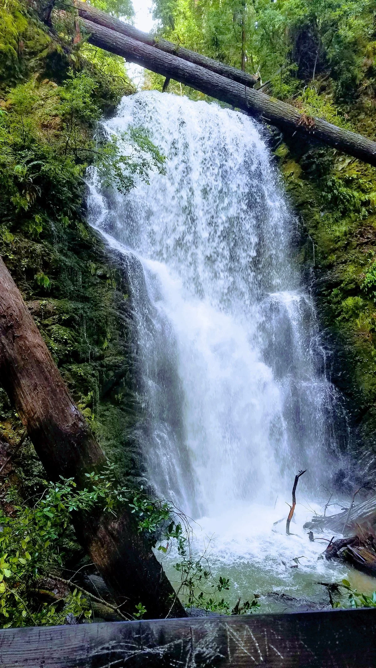 Berry Creek Falls