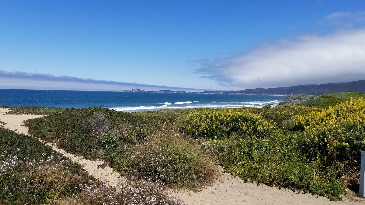 Francis Beach