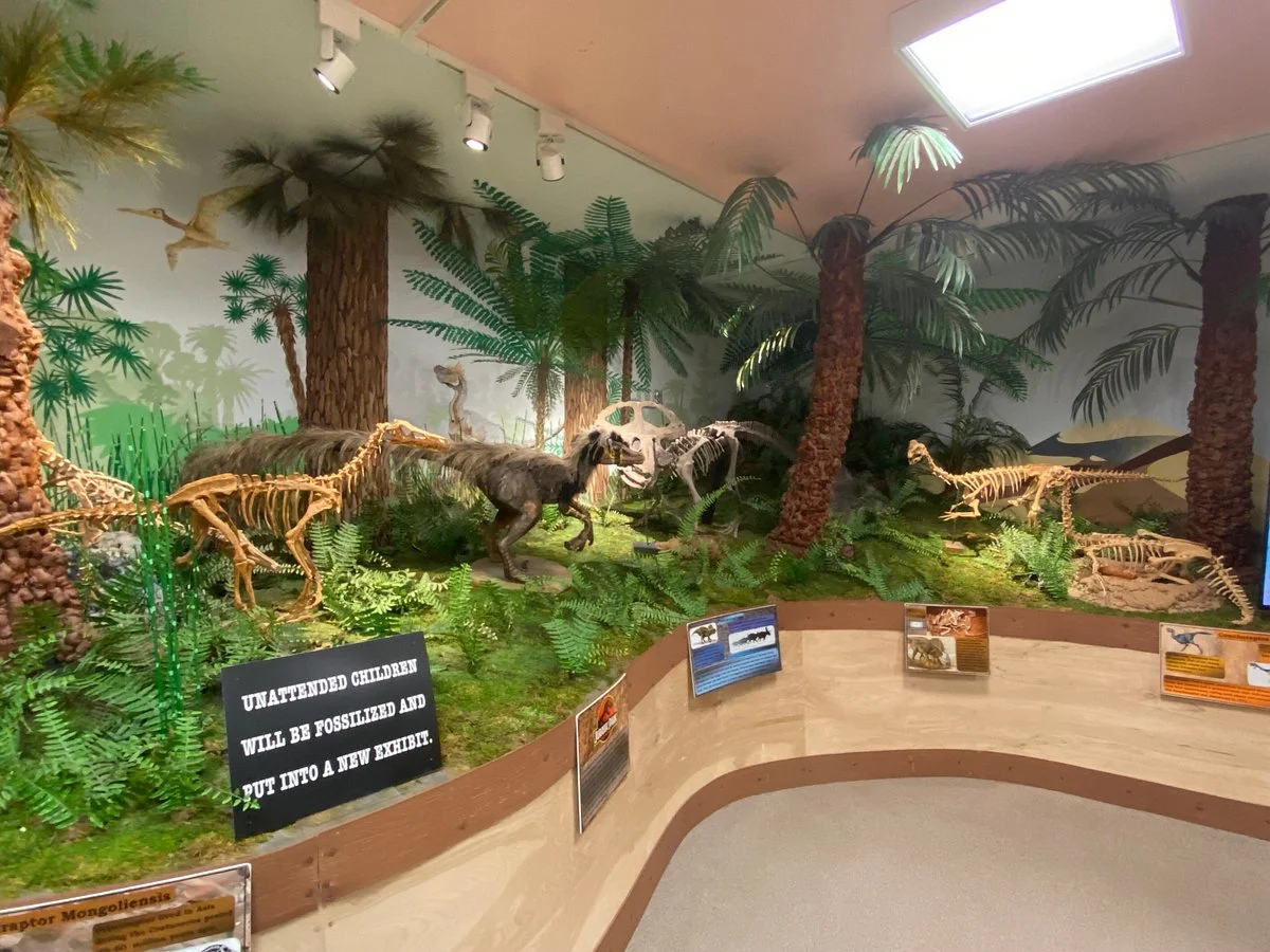 Hutchings Museum