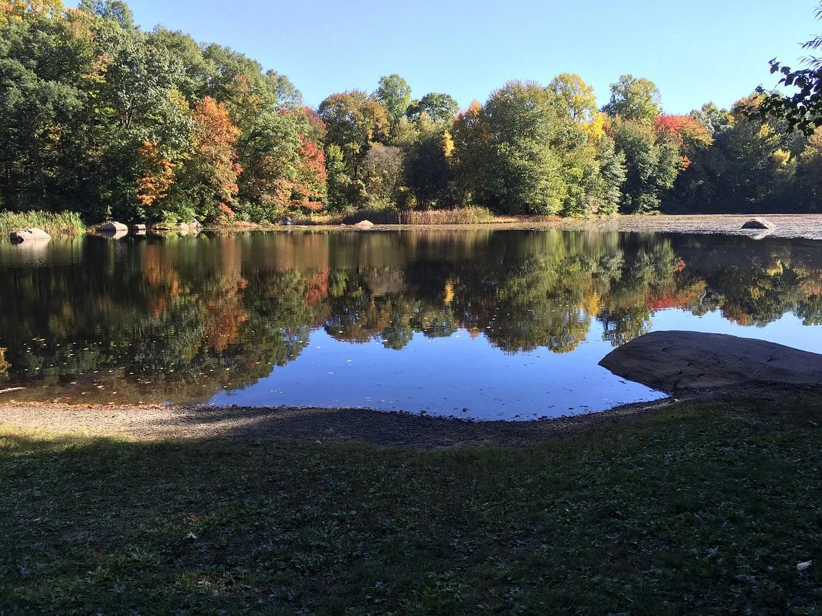 Connecticut College Arboretum