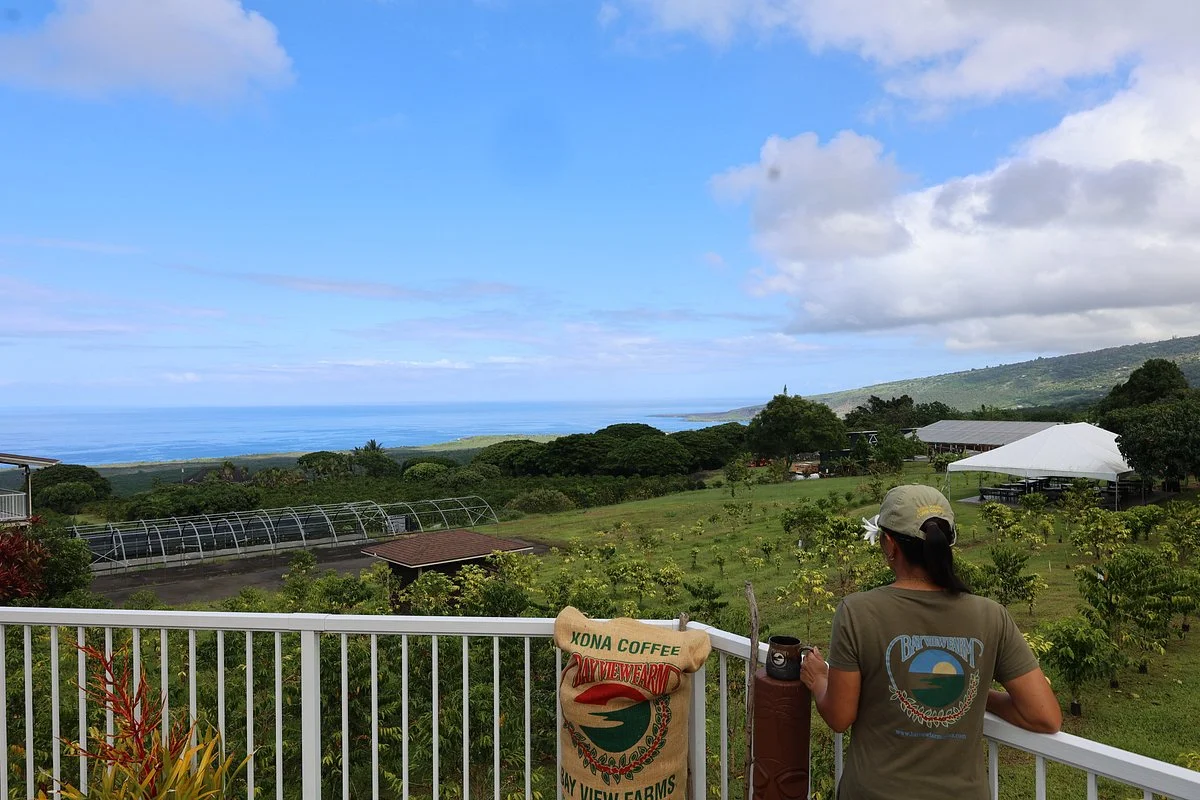 Bay View Farm
