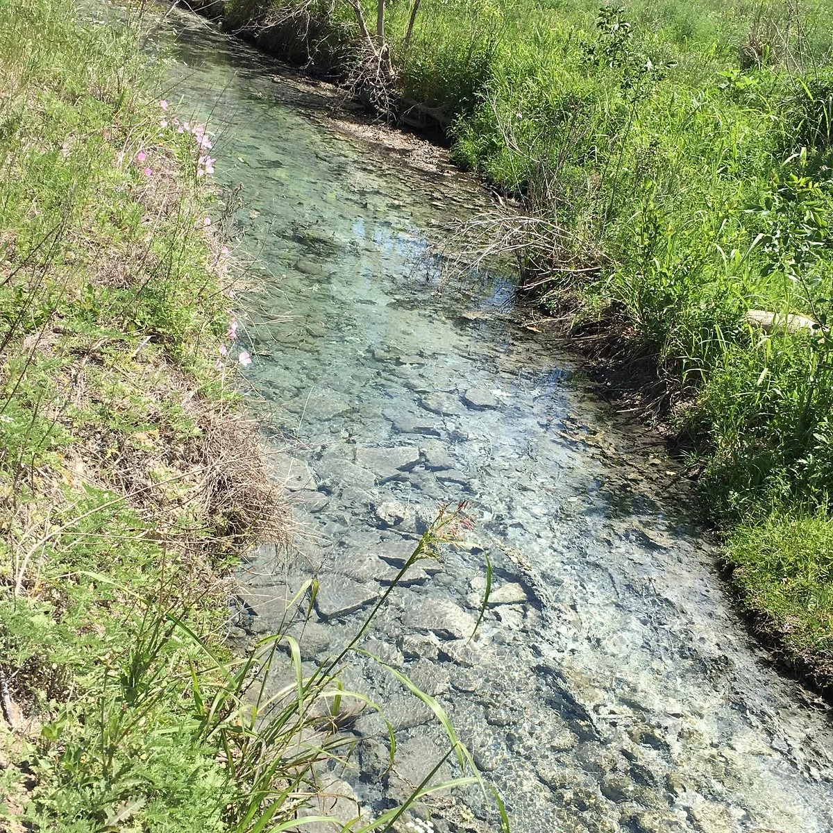 Cooper Spring Nature Park