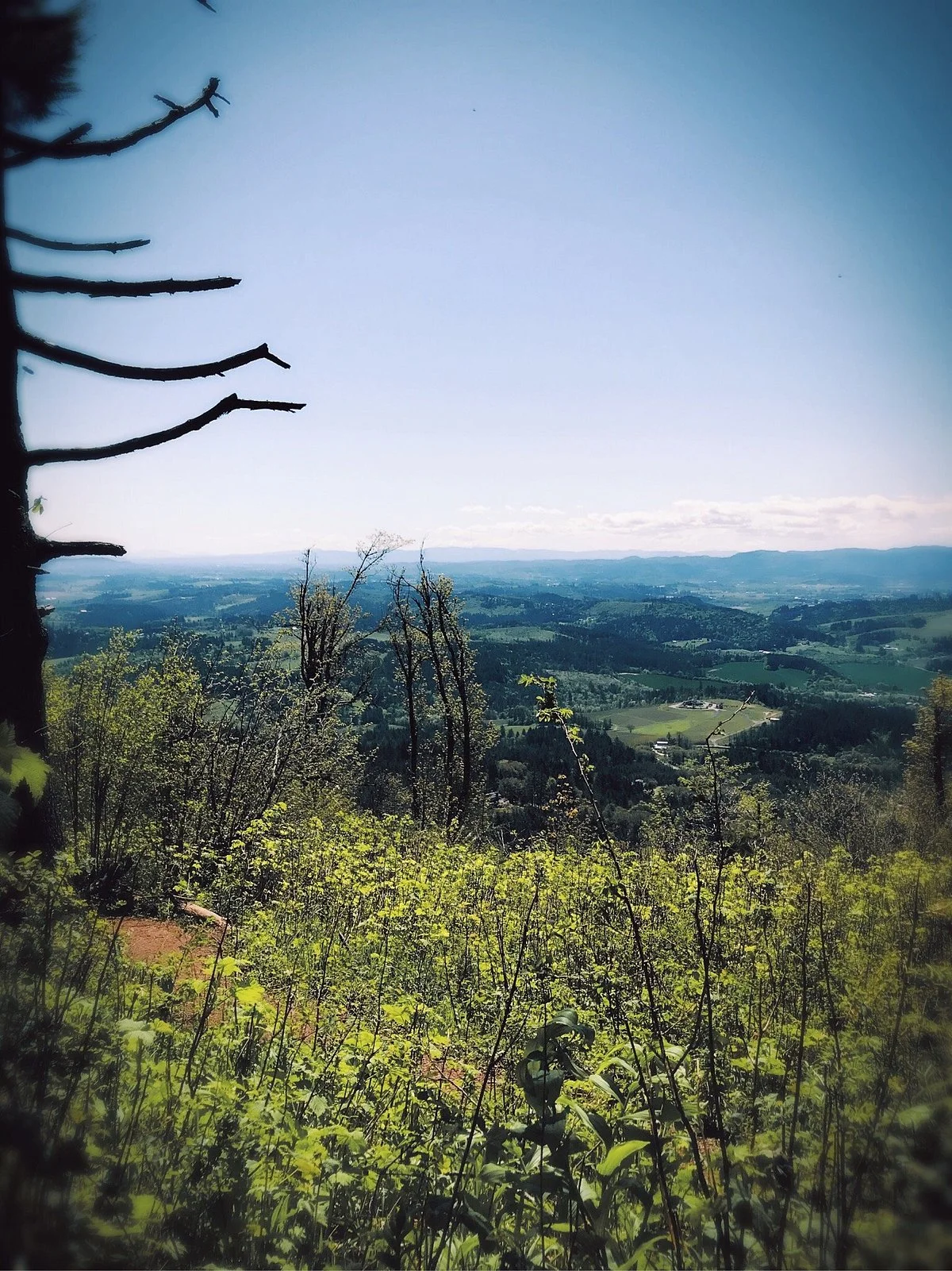 Bald Peak State Park
