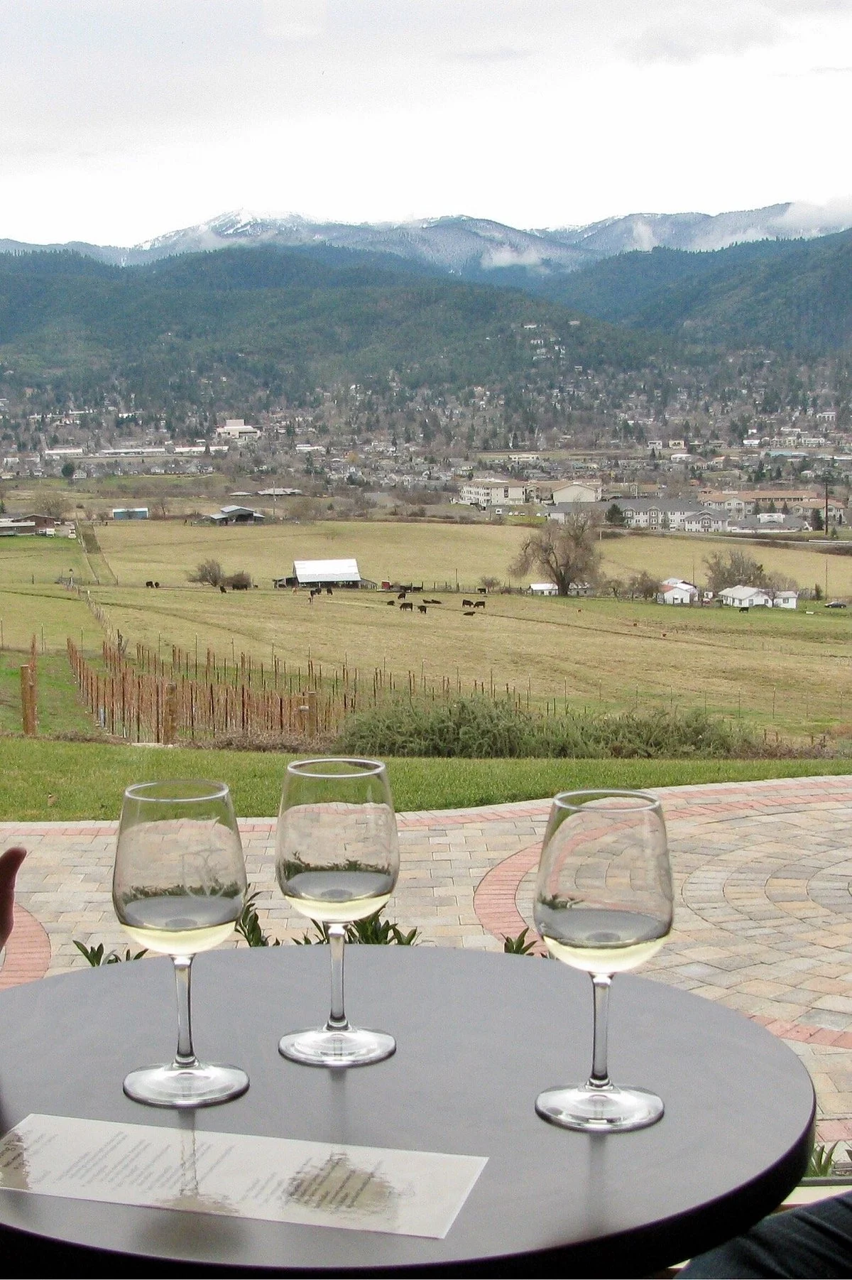 Dana Campbell Vineyards