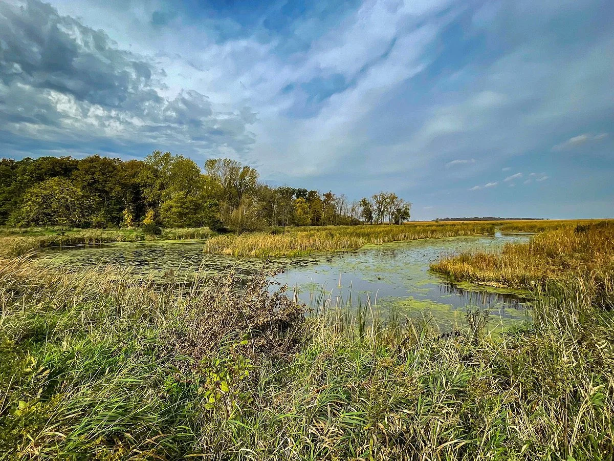 Horicon Marsh