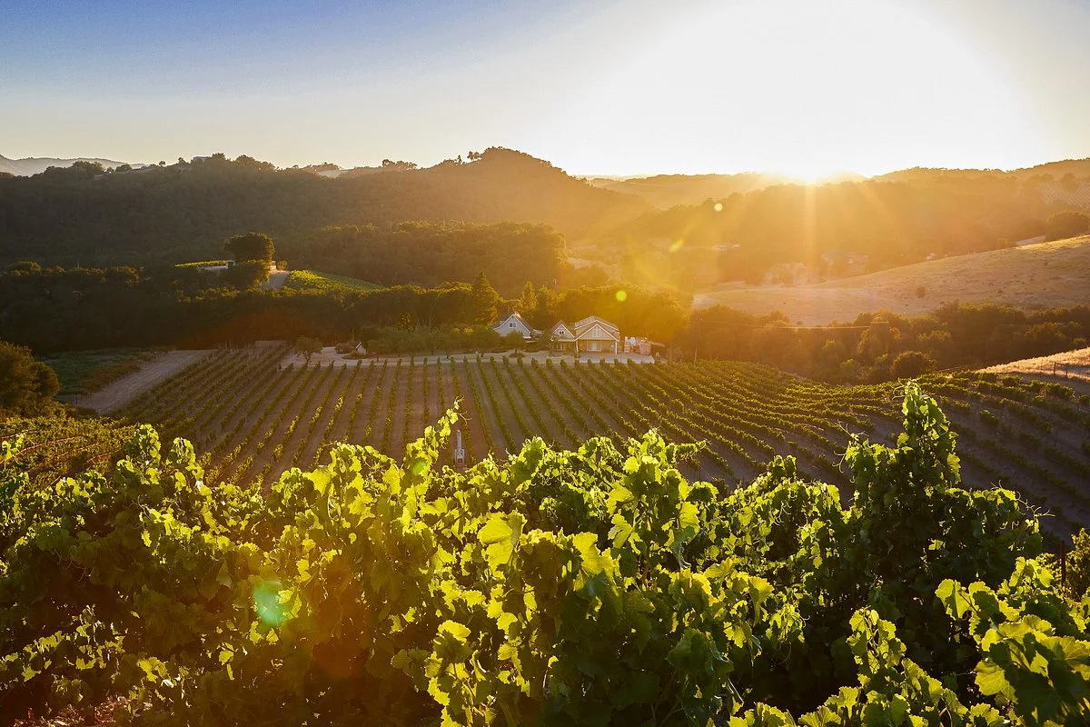 Clos Solene Winery