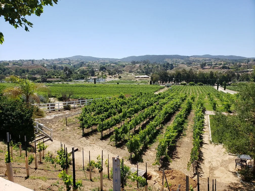 Frangipani Estate Winery