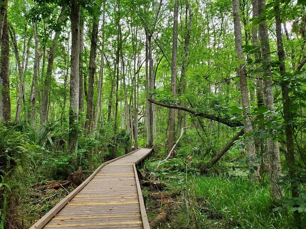 Flat Island Preserve