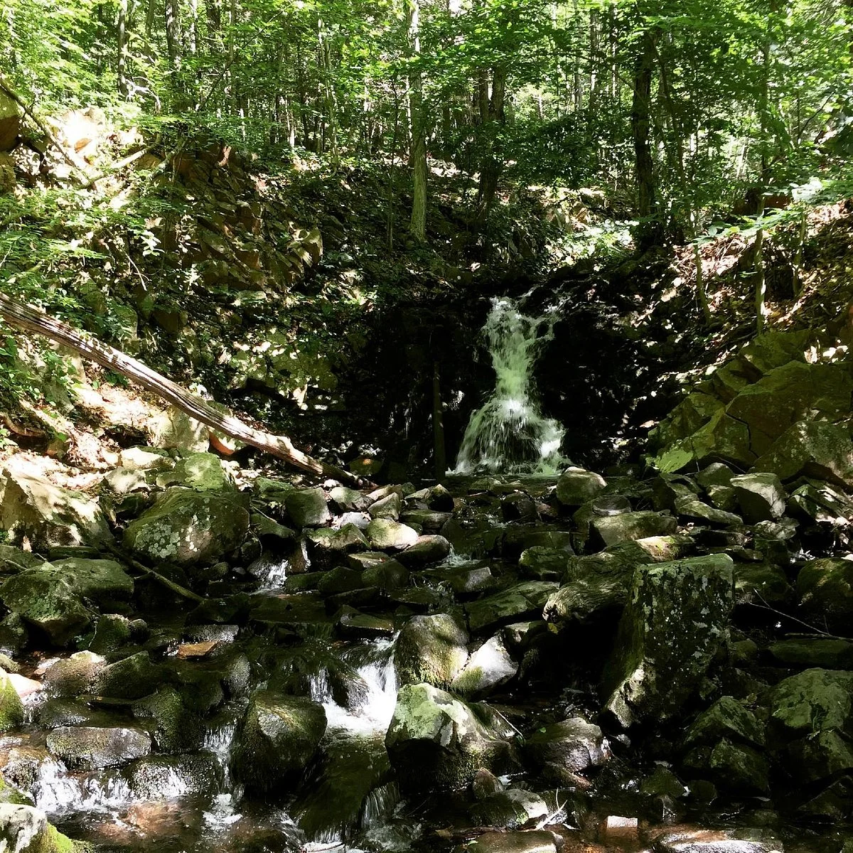 Roaring Brook Park