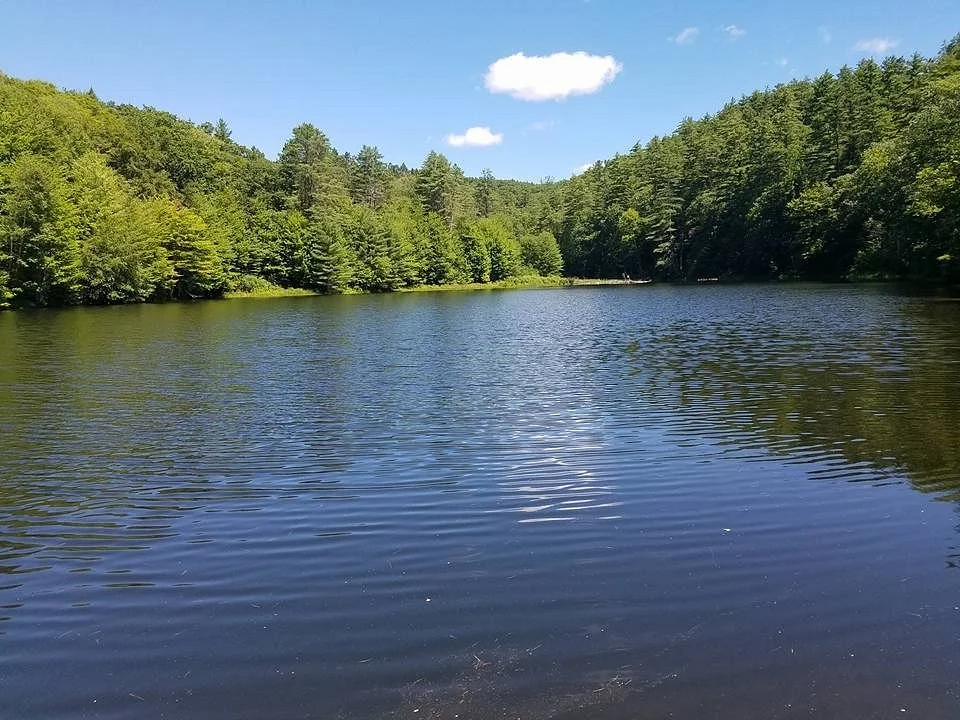 Lost Mine Hiking Trail