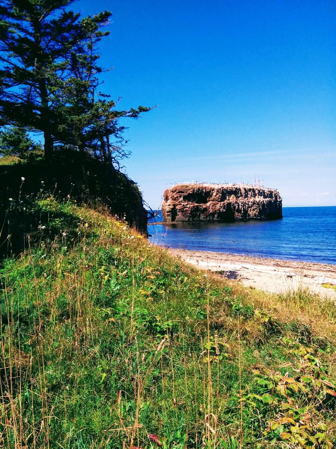 Pokeshaw Rock