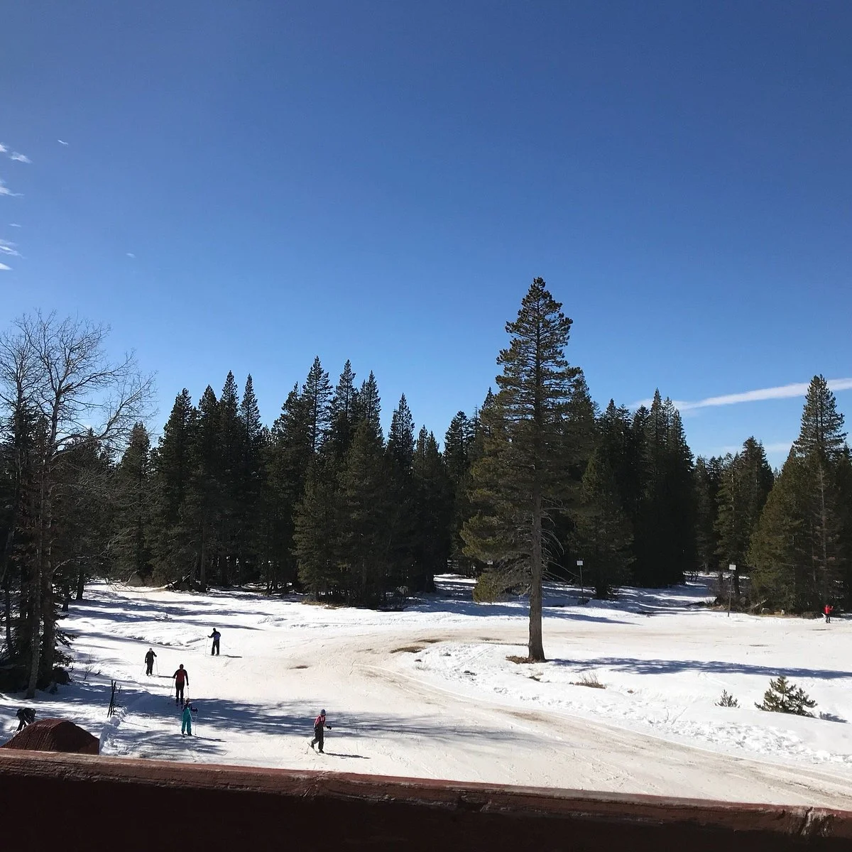 Royal Gorge USA Cross Country Ski Resort
