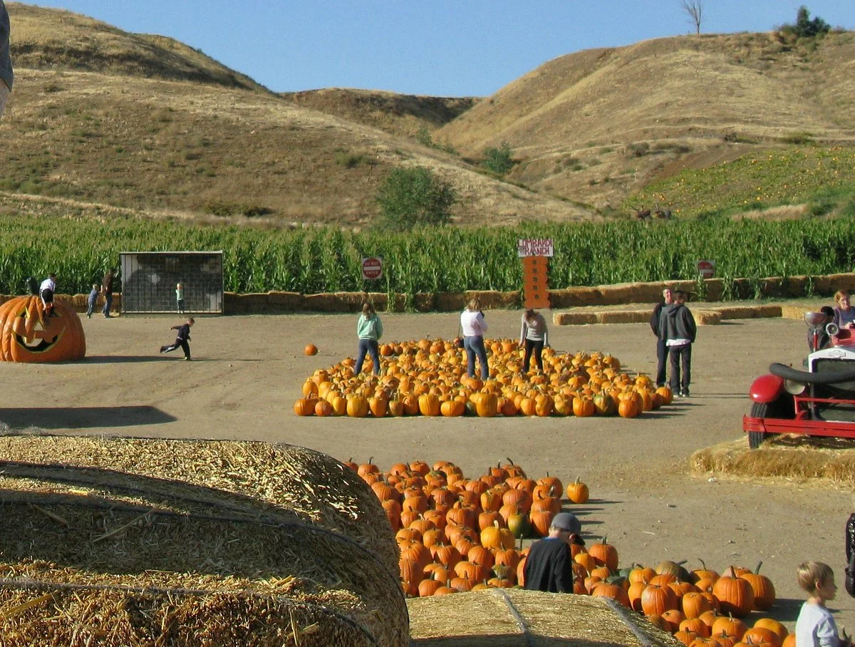 Lombardi Ranch