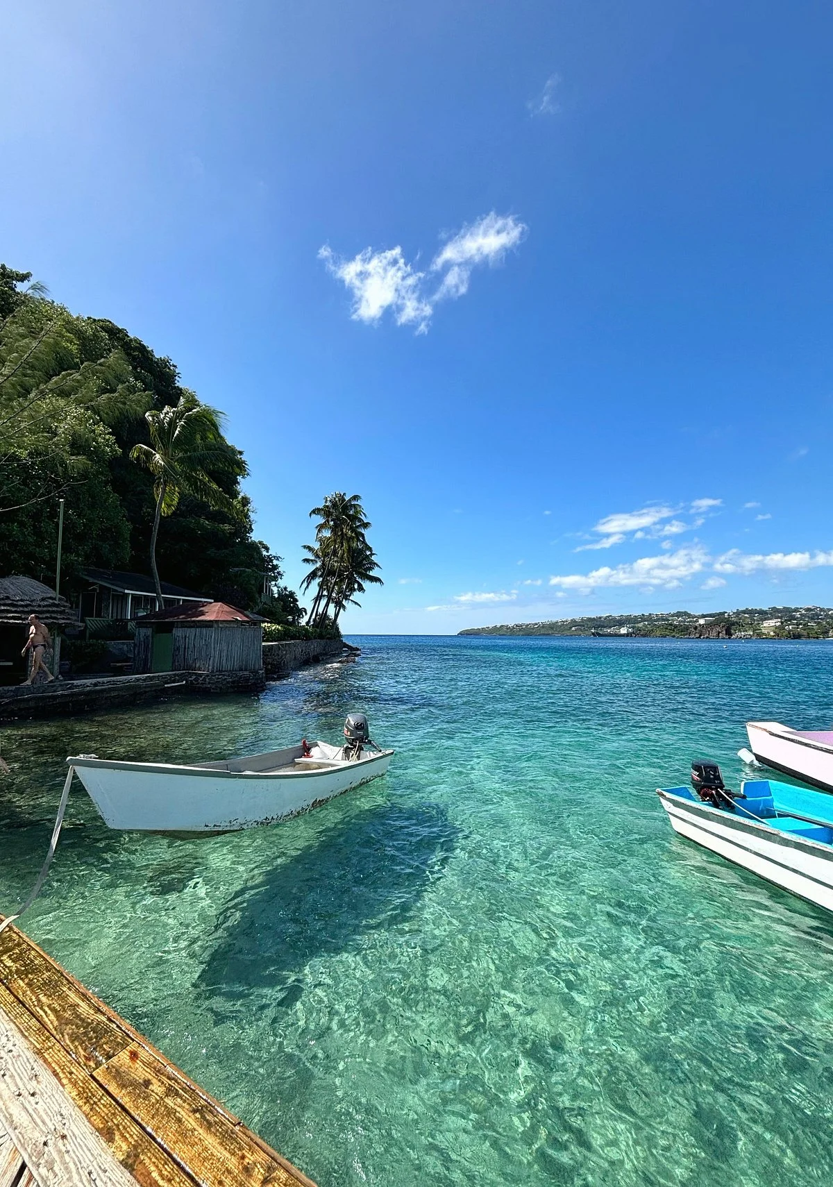 Young Island