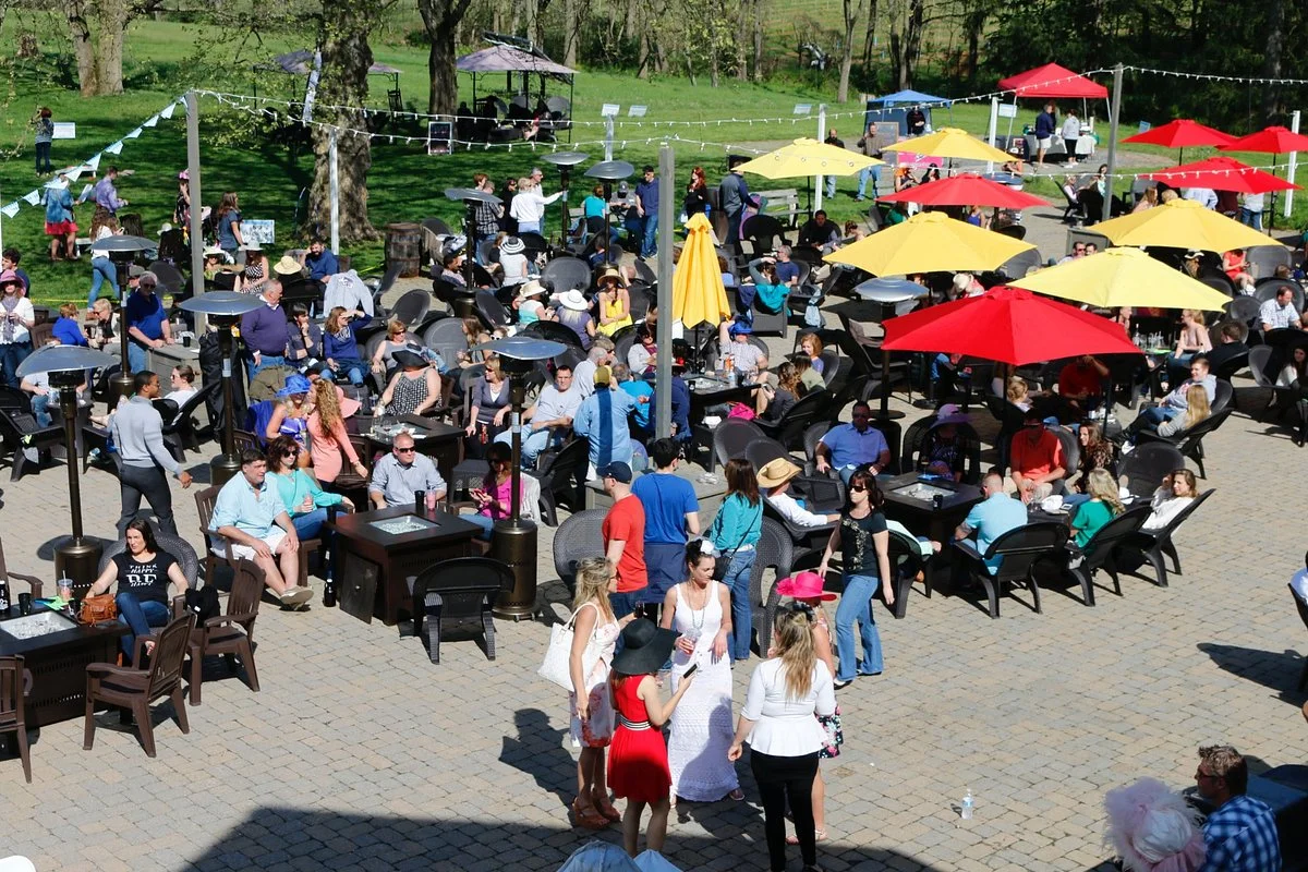 Spring Gate Vineyard