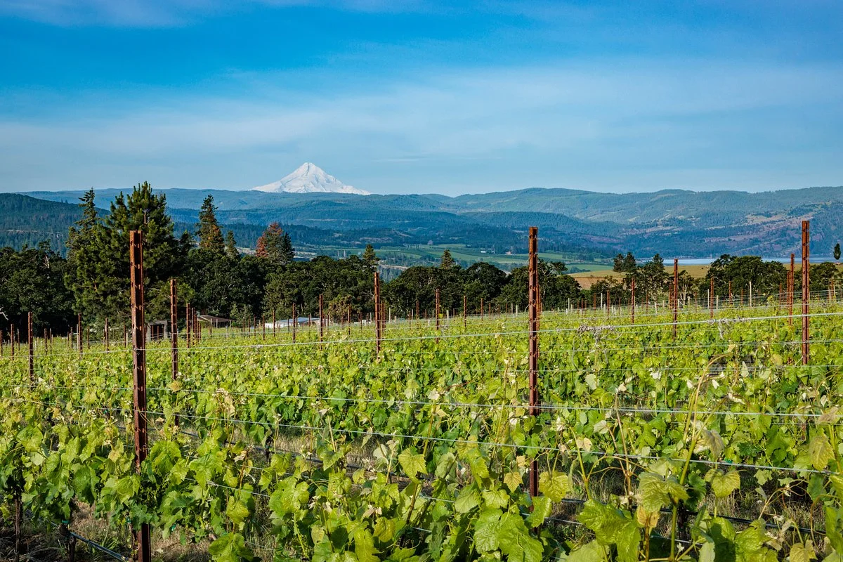 Syncline Winery