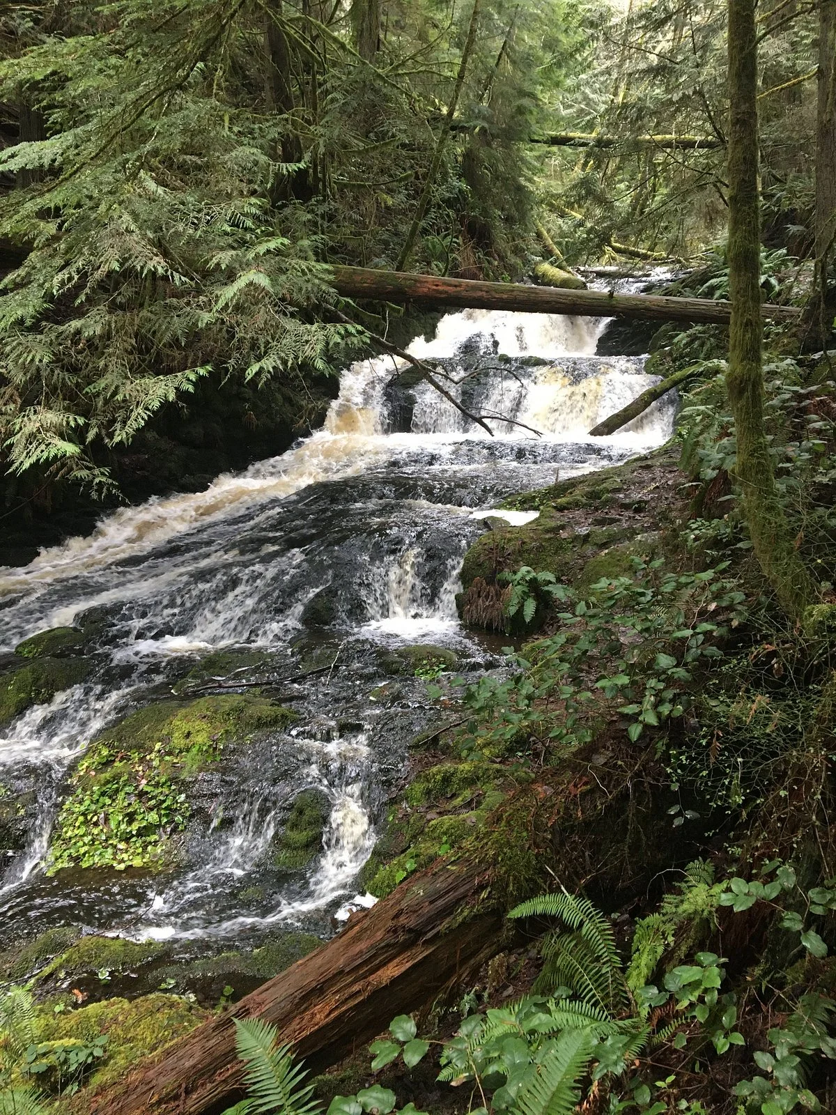 Ludlow Falls Interpretive Trail