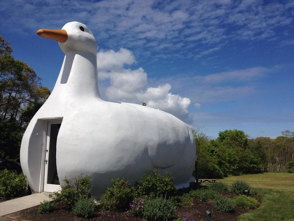 The Big Duck