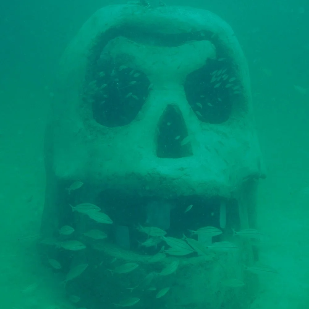 The Underwater Museum of Art
