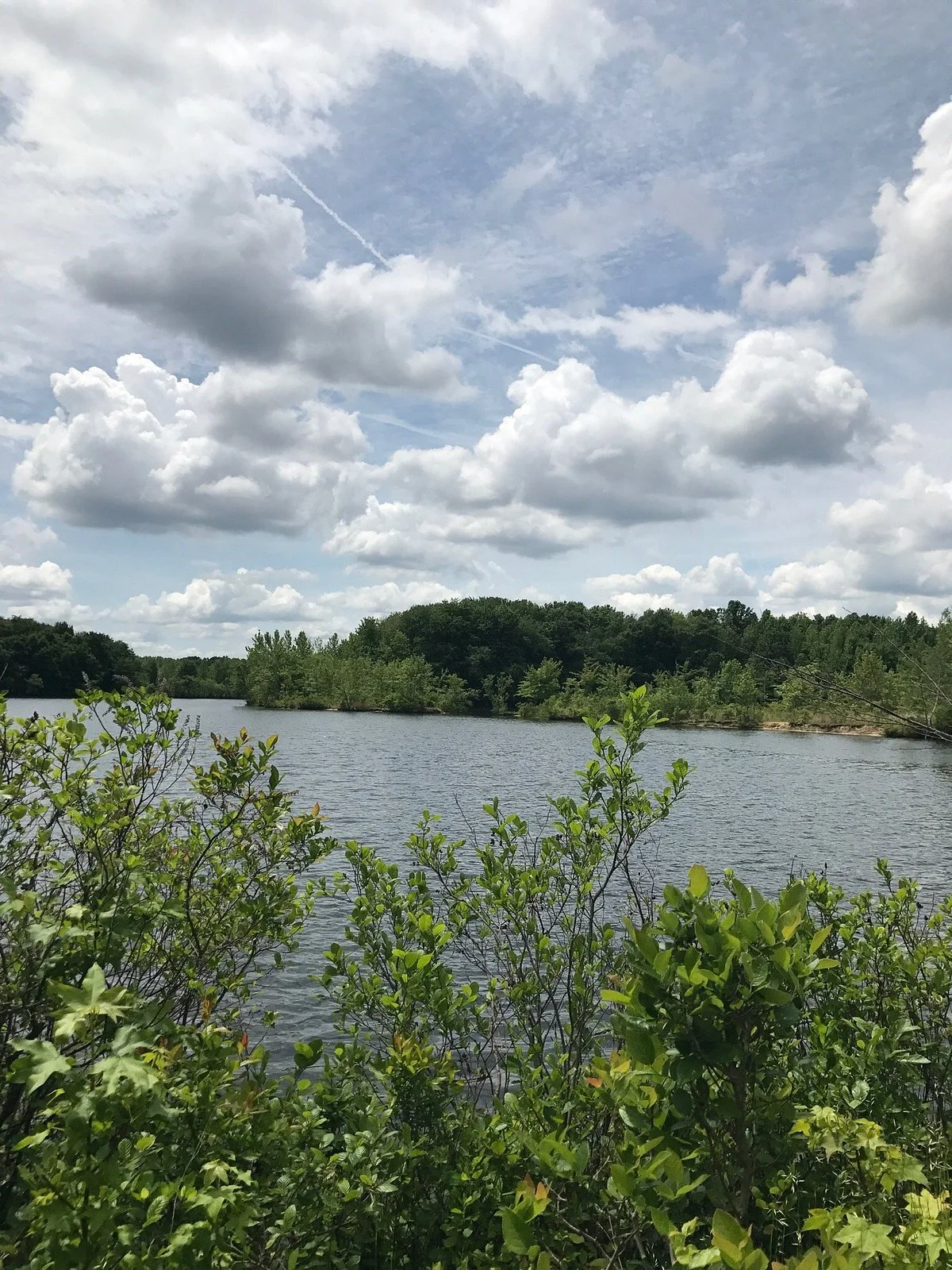 Plainsboro Preserve